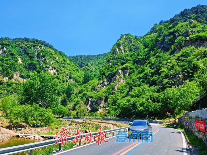 草木葱茏满目新 邂逅山野好风光