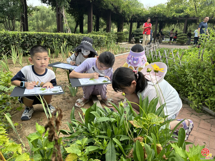 科普启航，双线预热！漫游+慢跑解锁济南园林趣知识