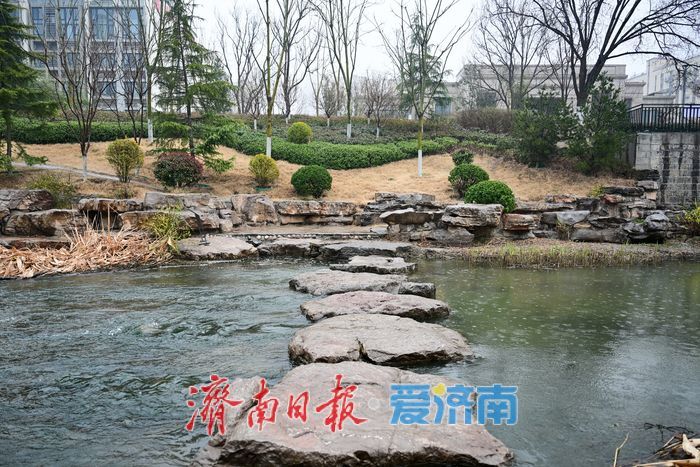 一年四季 泉在济南｜腊山河畔春来早 烟雨润得柳色新