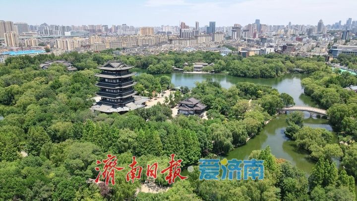 一年四季 泉在济南丨水光潋滟晴方好，“夏至”明湖满目翠