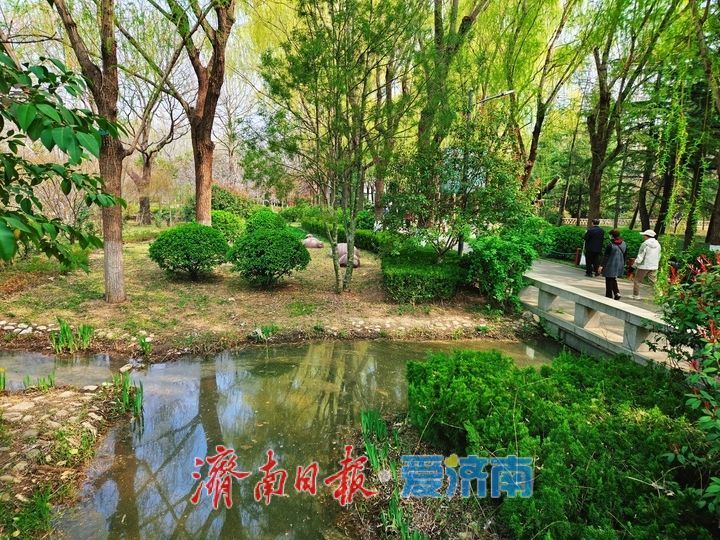 一年四季 泉在济南｜济南苗圃公园绽放春日生态美景