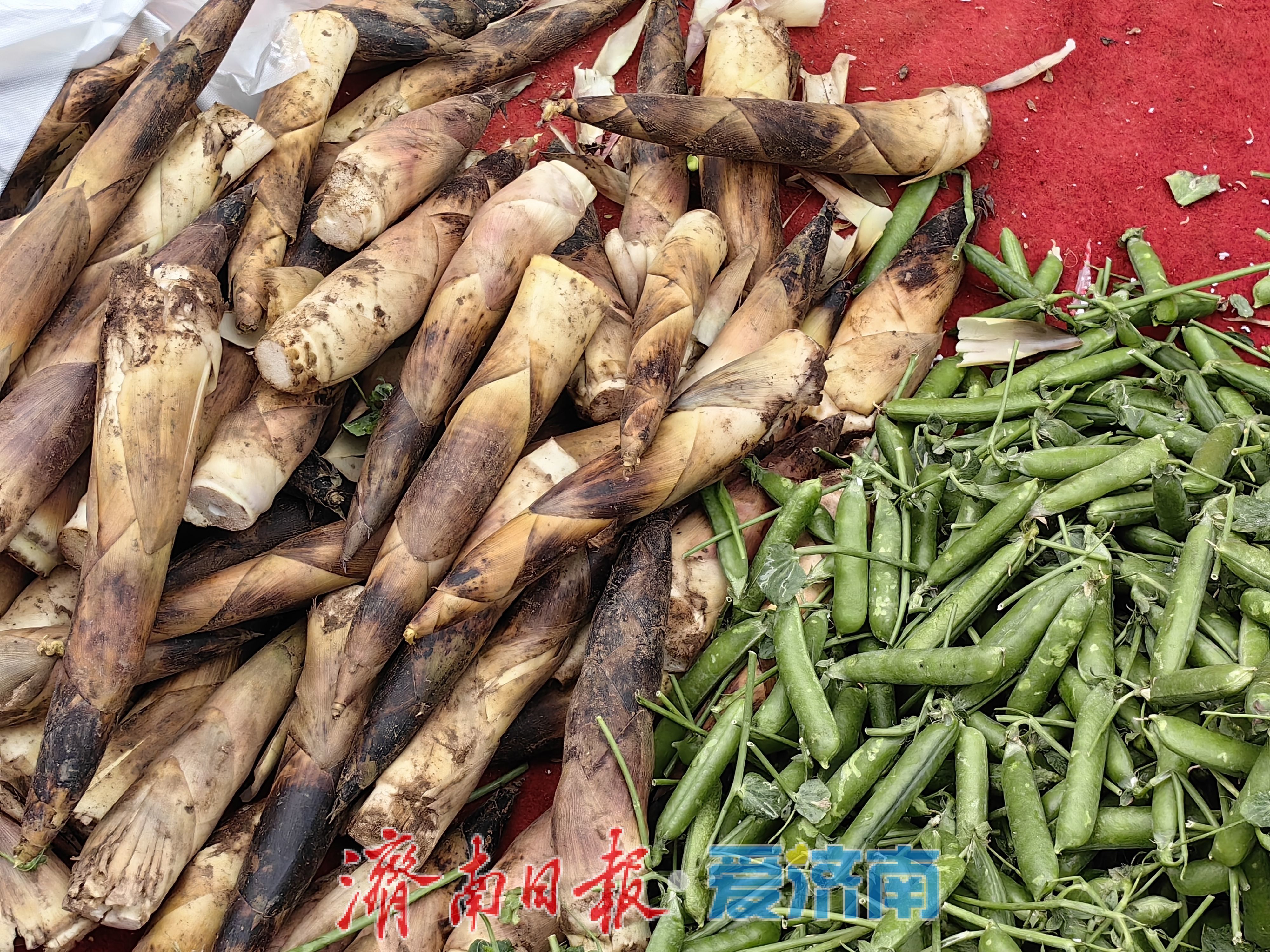 春菜抢“鲜”上市！市民赶集把春天拎回家