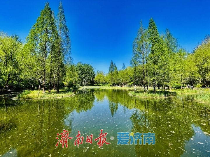 济南森林公园春日如画 市民踏青享“森呼吸”