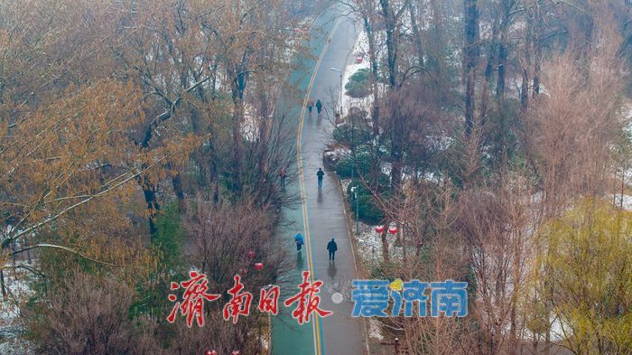 节后春雪添雅韵 济南森林公园解锁冬春交融新景致