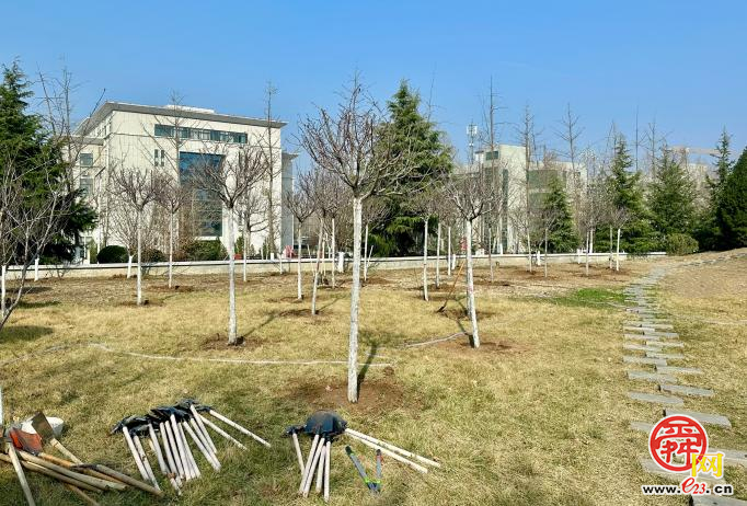 济南工程职院开展“匠心植绿，筑美校园”植树节主题活动