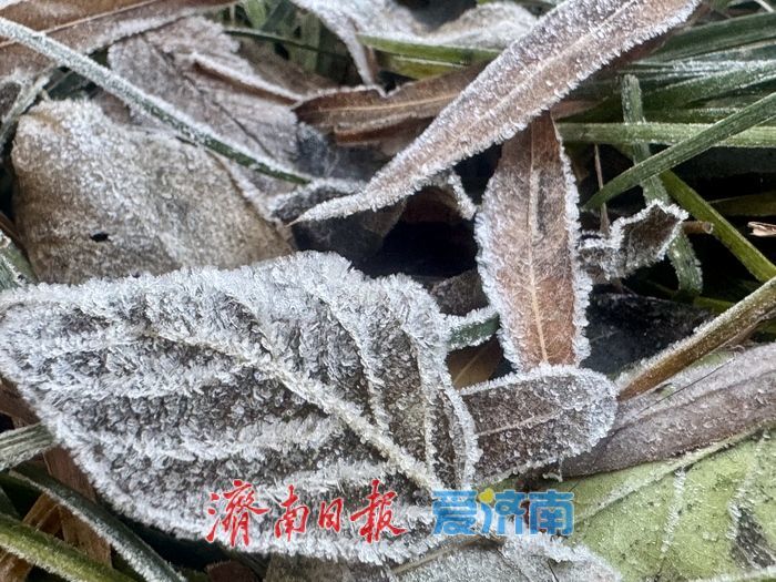 霜雪染泉城 济南冬日添雅致