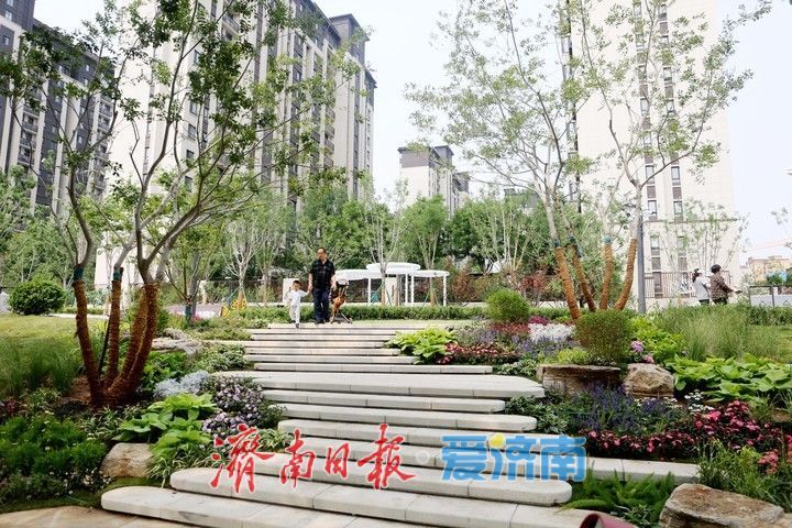 绿色生态 开放共享 济南再添一处街头公园