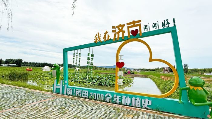 泉韵乡居展新颜 乡村振兴谱新篇 济南市“一月一主题”集中采访走进章丘区、莱芜区