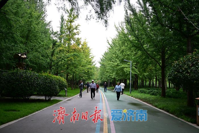 一年四季 泉在济南丨雨后泉城绿意浓，济南森林公园焕发活力