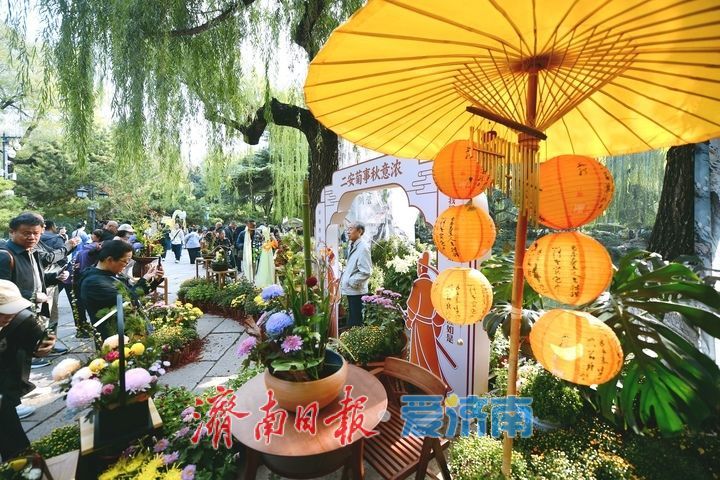 泉畔秋色菊香可待，济南市第47届趵突泉金秋菊展正式启幕