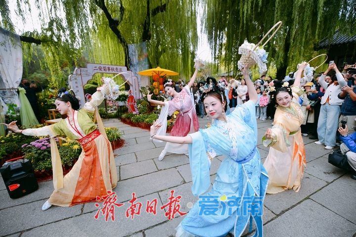 泉畔秋色菊香可待，济南市第47届趵突泉金秋菊展正式启幕