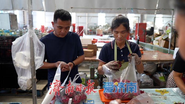 从“城市供应链”到“乡村产业链”——济南起步区新农人赵振华的二十年归途