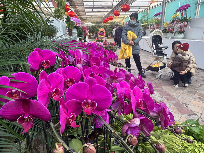 挂红灯购年货 红红火火迎新春