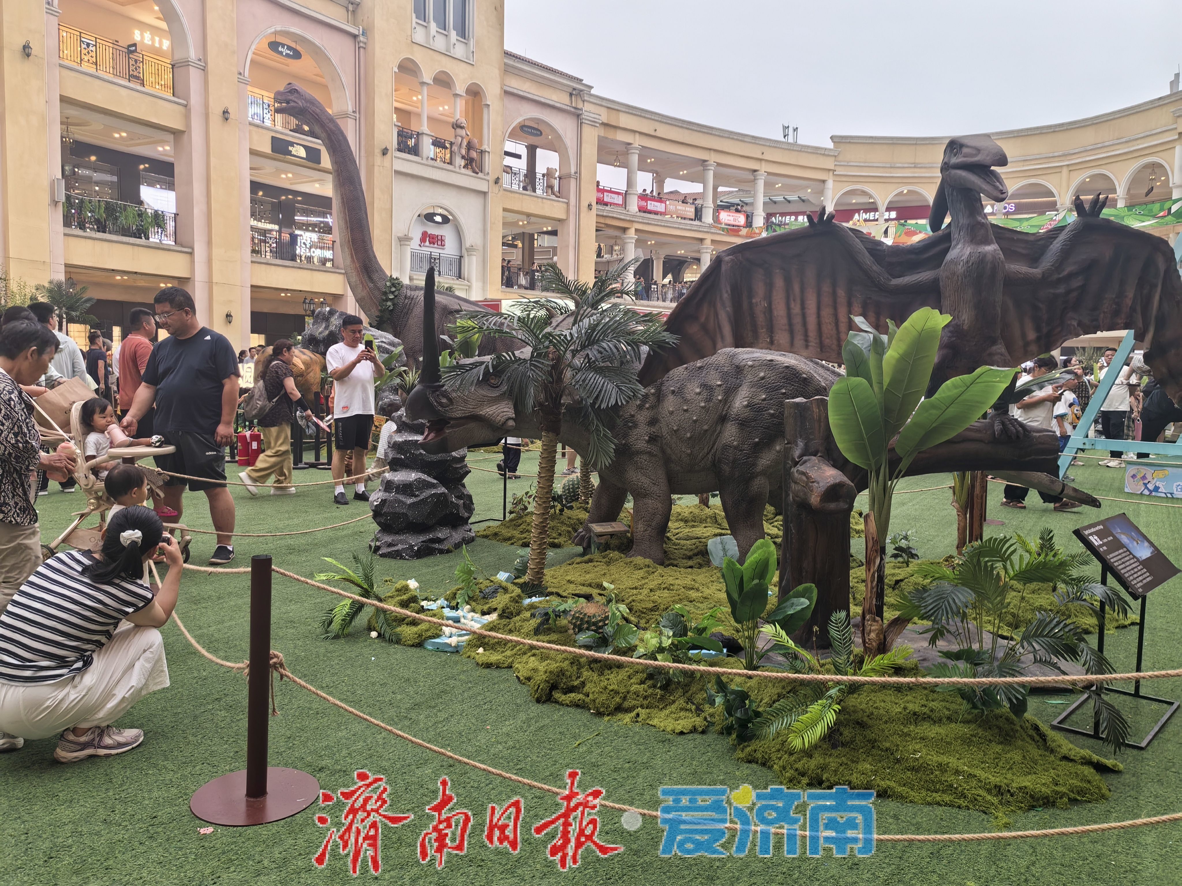 端午遛娃新去处！济南东部商场有处“侏罗纪课堂