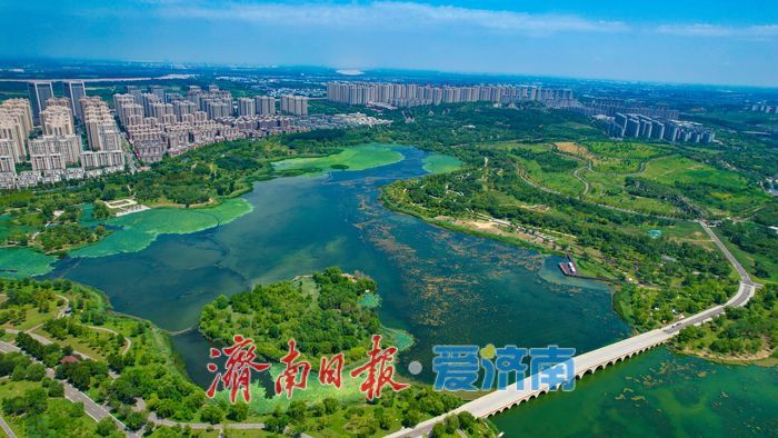 一年四季 泉在济南｜暑气未消立秋至 华山湖绿意盎然生机无限