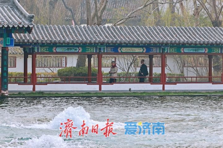 百脉泉公园梅花泉持续喷涌 春日泉景醉游人