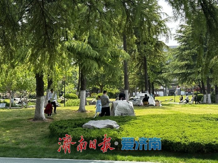 近郊露营“一位难求”？济南市区就有块人少好停车的“宝藏”绿地