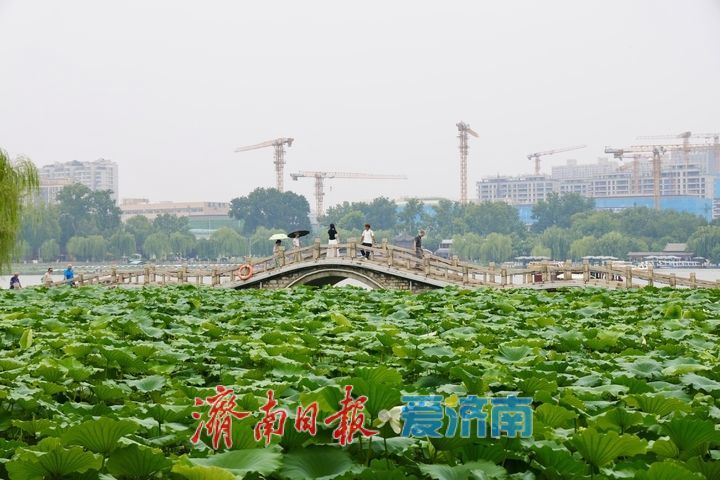 凉风送爽景致佳 市民泛舟大明湖乐享惬意周末