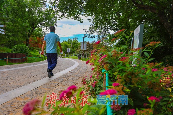 佛慧山粉花绣线菊悄然盛放 散落山间的粉色星芒
