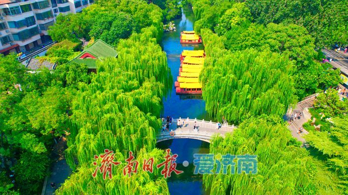济南护城河水位显著上涨，迎来一年最佳观赏期