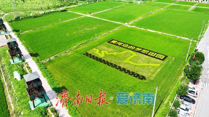 向土地“要效益” 为发展“守根基”——济南市自然资源和规划局奏响高质量发展强音