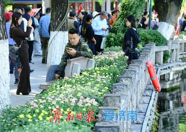 赏名泉喷涌品菊影婆娑，第47届趵突泉金秋菊展即将启幕