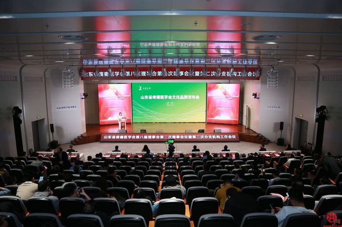  Shandong Pain Medicine Association officially launched the "Big Doctor Association" cultural brand