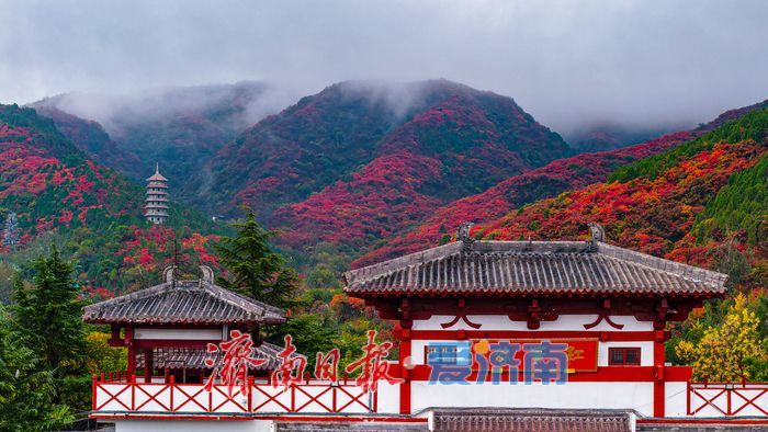 一年四季 泉在济南丨一场秋雨，为红叶谷拉满秋日氛围感