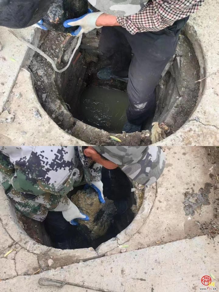 小网格彰显大担当 普集街道网格员:书写为民服务“全答卷”