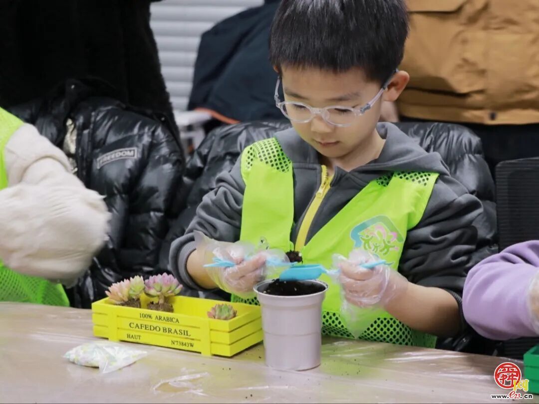 指尖塑绿意，公益暖泉城——济南泉民园艺中心联合辰星公益开展多肉DIY温暖陪伴活动