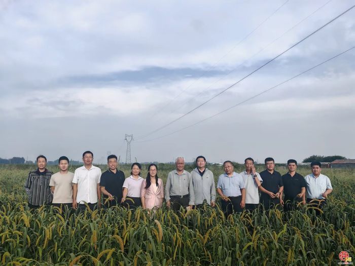 【章丘龙山2025·奋进中的一线答卷②】跃升