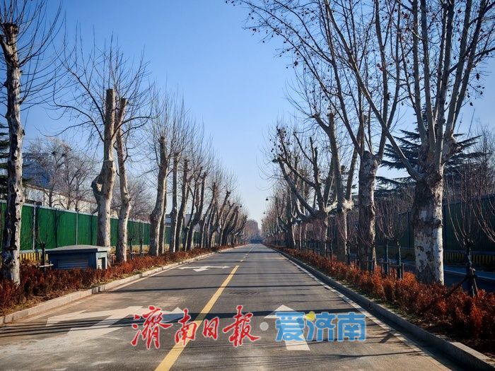 中央森林公园：工业遗址转型中的生态复苏与城市记忆新空间