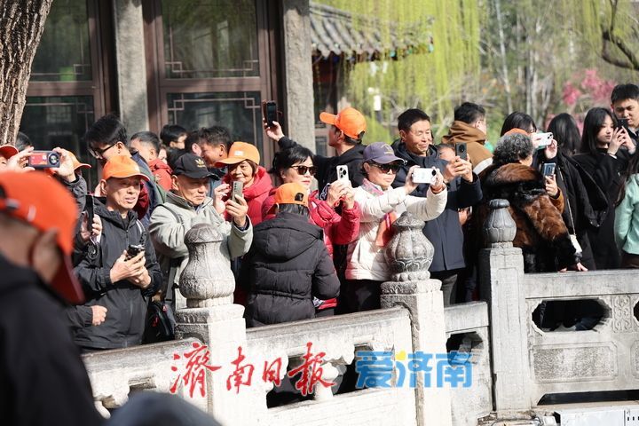 春雨泉涌迎客来