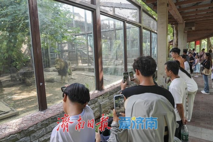 一年四季 泉在济南｜济南动物园暑期人气旺，亲子游成主流