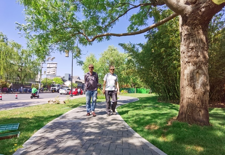 观景入画，济南大明湖南岸绿道改造再添新景