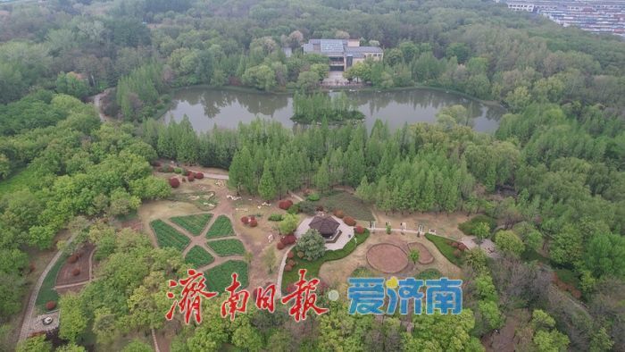 一年四季 泉在济南丨春雨润泉城 济南森林公园满目翠绿“颜值高”