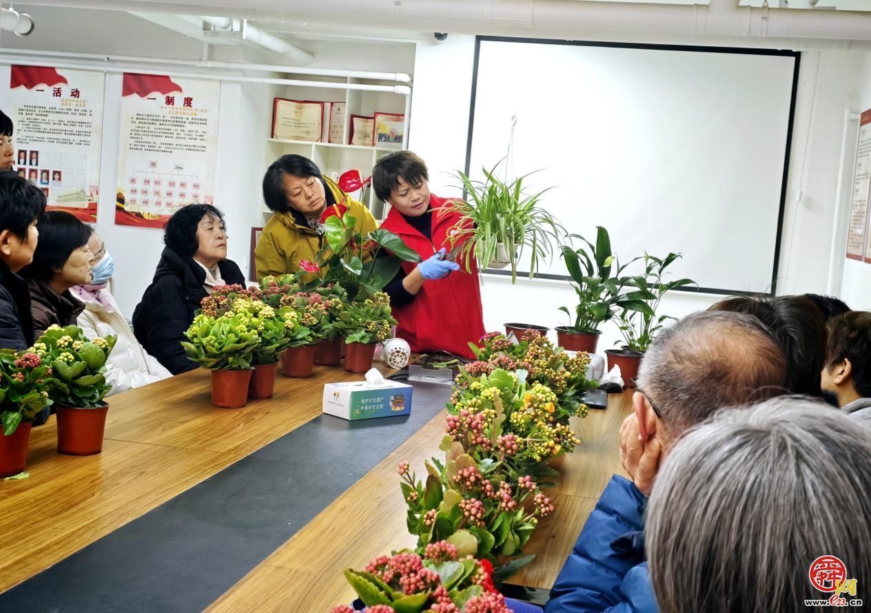 “年宵花里迎新春” 济南园·林惠民行年宵花卉养护科普活动 走进高新区舜华路街道舜信社区