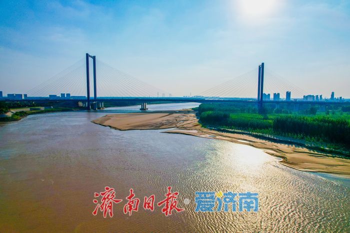 滩涂生树影 大河刻秋痕