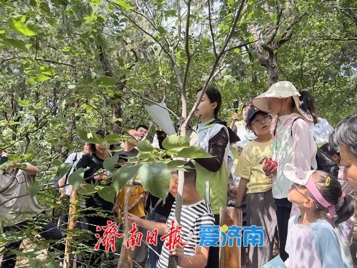多点联动、密集开展：济南超“燃”志愿活动让环保走进日常