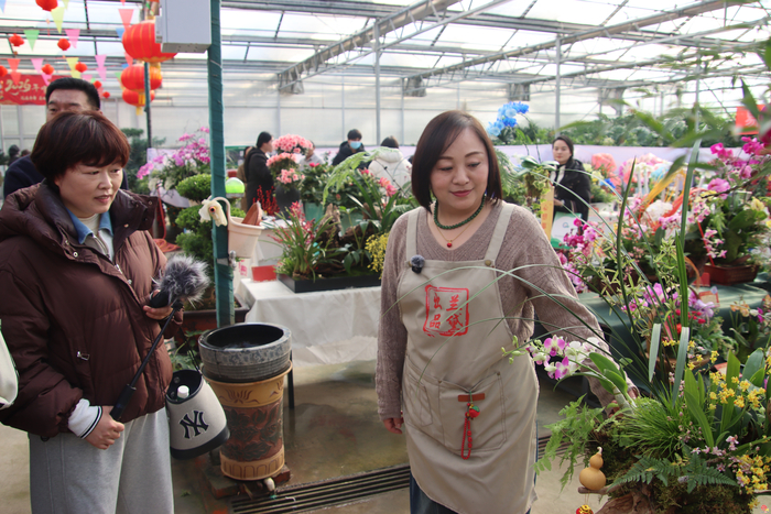 花漾齐鲁·喜迎新春 2026年宵花市盛大开幕