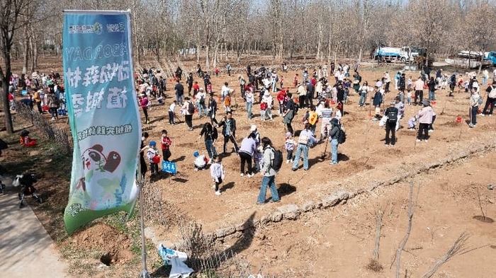 在野生动物世界里，不仅仅是植树