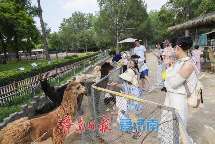 一年四季 泉在济南｜济南动物园暑期人气旺，亲子游成主流