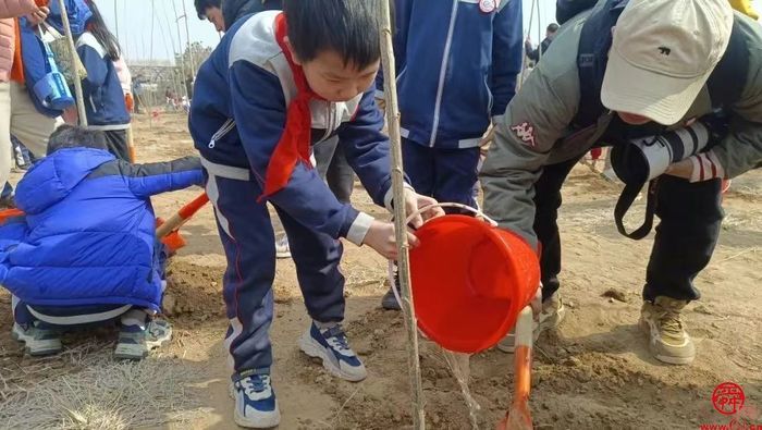 植绿·护绿——济南市经十一路小学四（7）中队开展实践活动