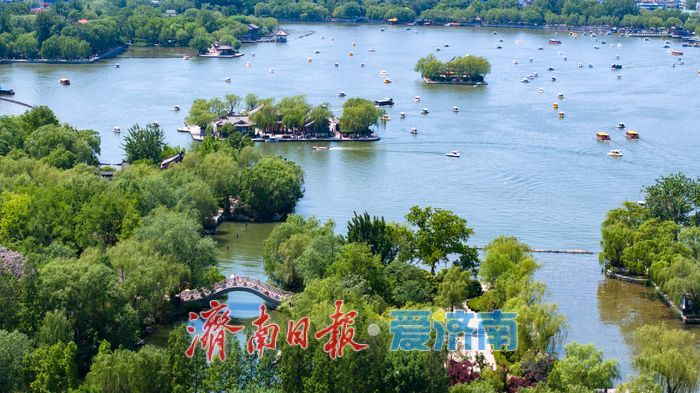 一年四季 泉在济南｜“五一”假期大明湖景区迎客流高峰，游船如织景美如画