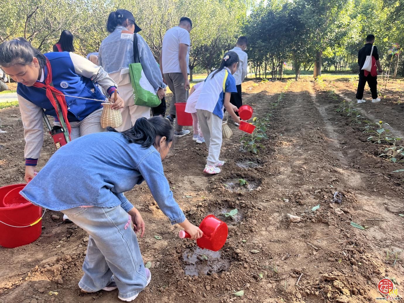 落木化春 绿妆泉城 济南园林绿化废弃物演绎环保创意大变身