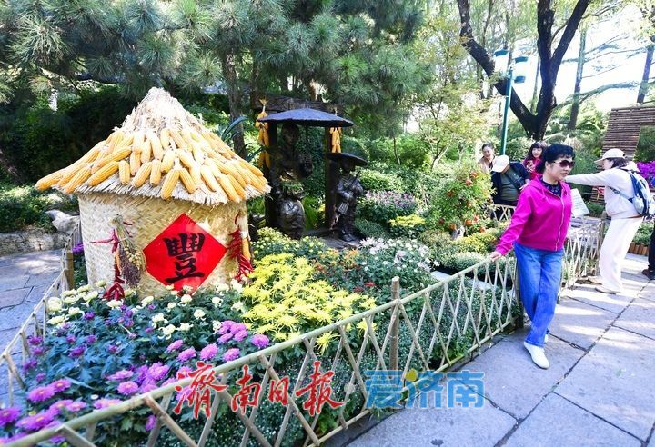 趵突流芳·菊绘华章，济南市第47届趵突泉金秋菊展加载进度90%！