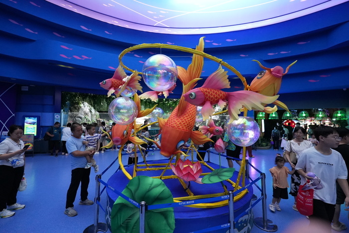 暑期接近尾声 游客“海底”觅清凉