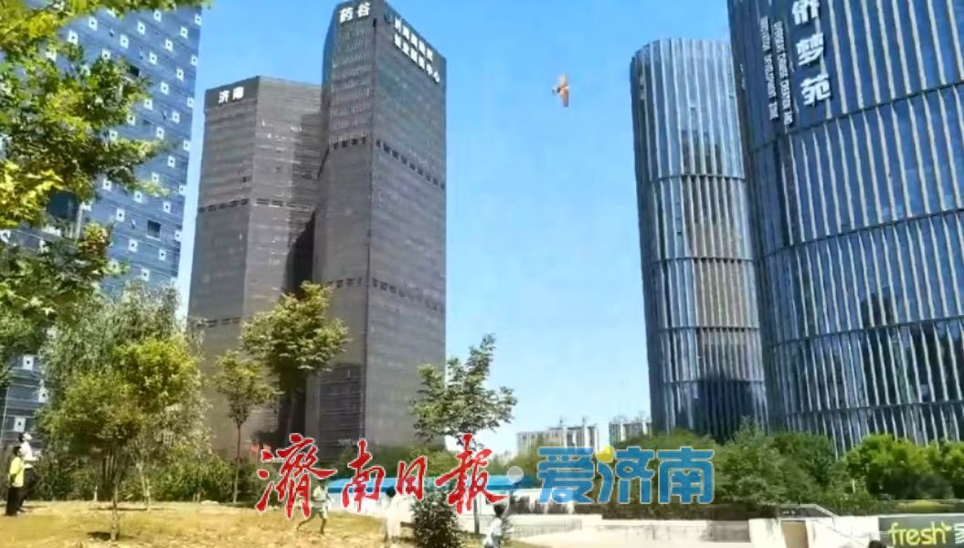 一只仿生扑翼“鹰”的自述
