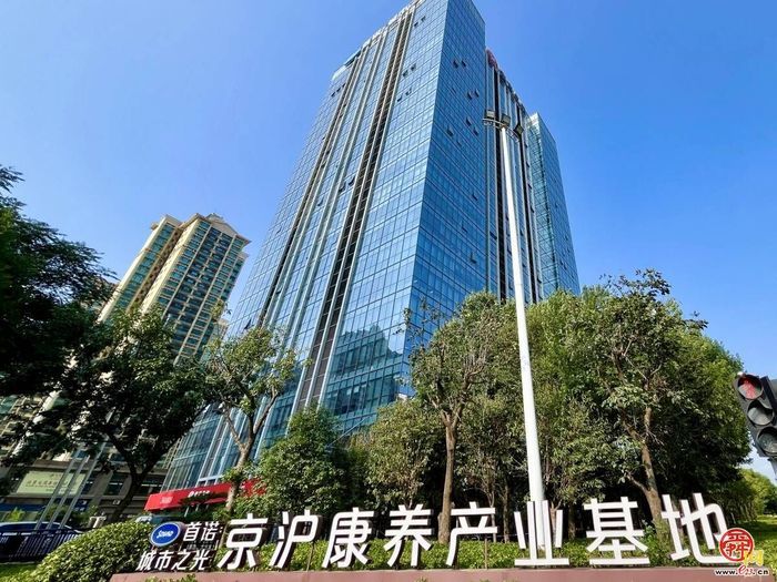 槐荫：十大行动坚实答卷，锚定“五新”绘未来