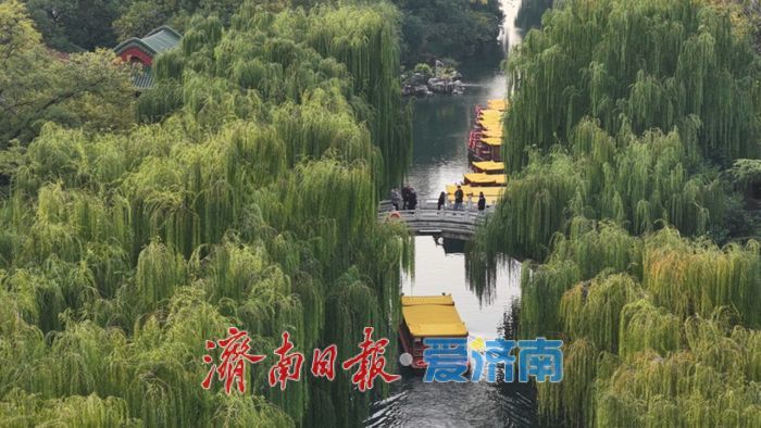 一年四季 泉在济南丨赴一场泉水之约，黑虎泉迎来今秋最美时刻